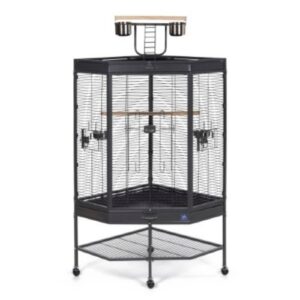 כלוב תוכים פינתי שחור דגם A46 עם מתחם משחקים עליון