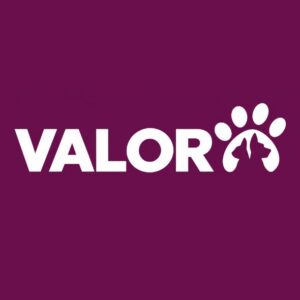 Valor